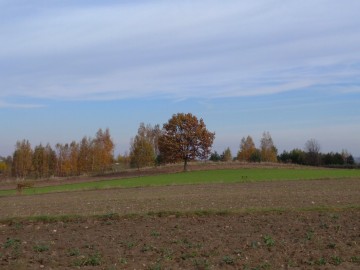 Jesień w Parku Krajobrazowym Wzniesień Łódzkich, Mateusz Starnowski